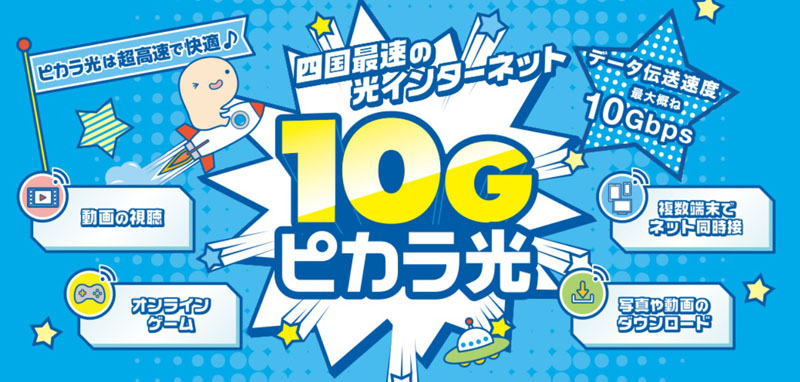 ピカラ光ねっと10G